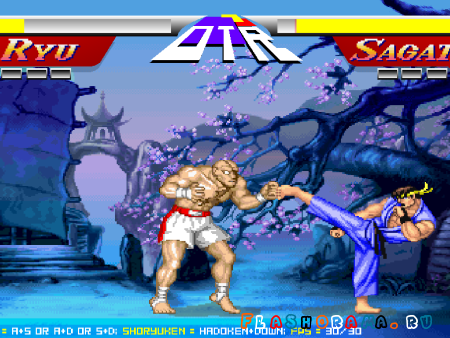 Ryu vs sagat
