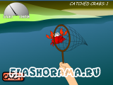 Cathc a crab
